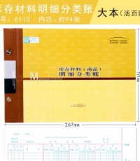 萊特6110庫(kù)存材料明細(xì)賬16k 100頁(yè)
