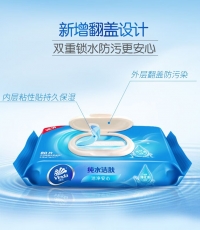 維達VW1027純水濕巾80抽/包*12