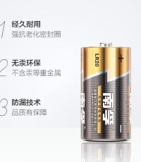 南孚1號（大號）LR20電池1板兩只