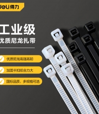 得力DL9446扎帶4x250mm (白)